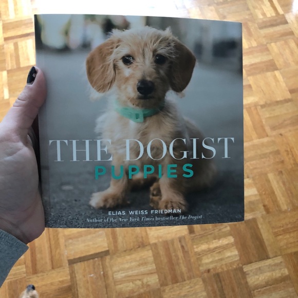 Meet your Posher, Julia - Picture 6 of 7